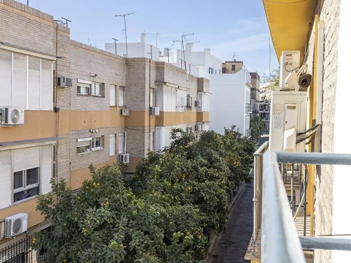 Pureza Dreams De Sevilla Oasis En Triana